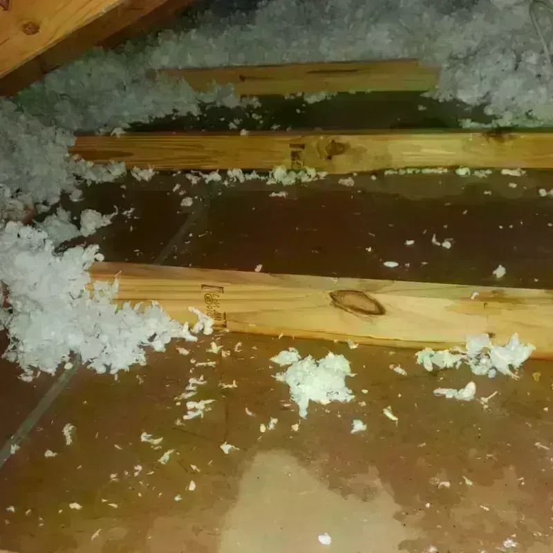 Attic Water Damage in Boiling Spring Lakes, NC