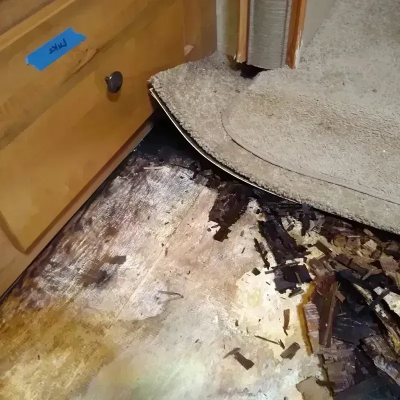 Wood Floor Water Damage in Boiling Spring Lakes, NC